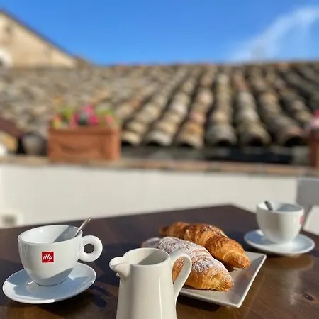 Blue Zi Albina Vasto